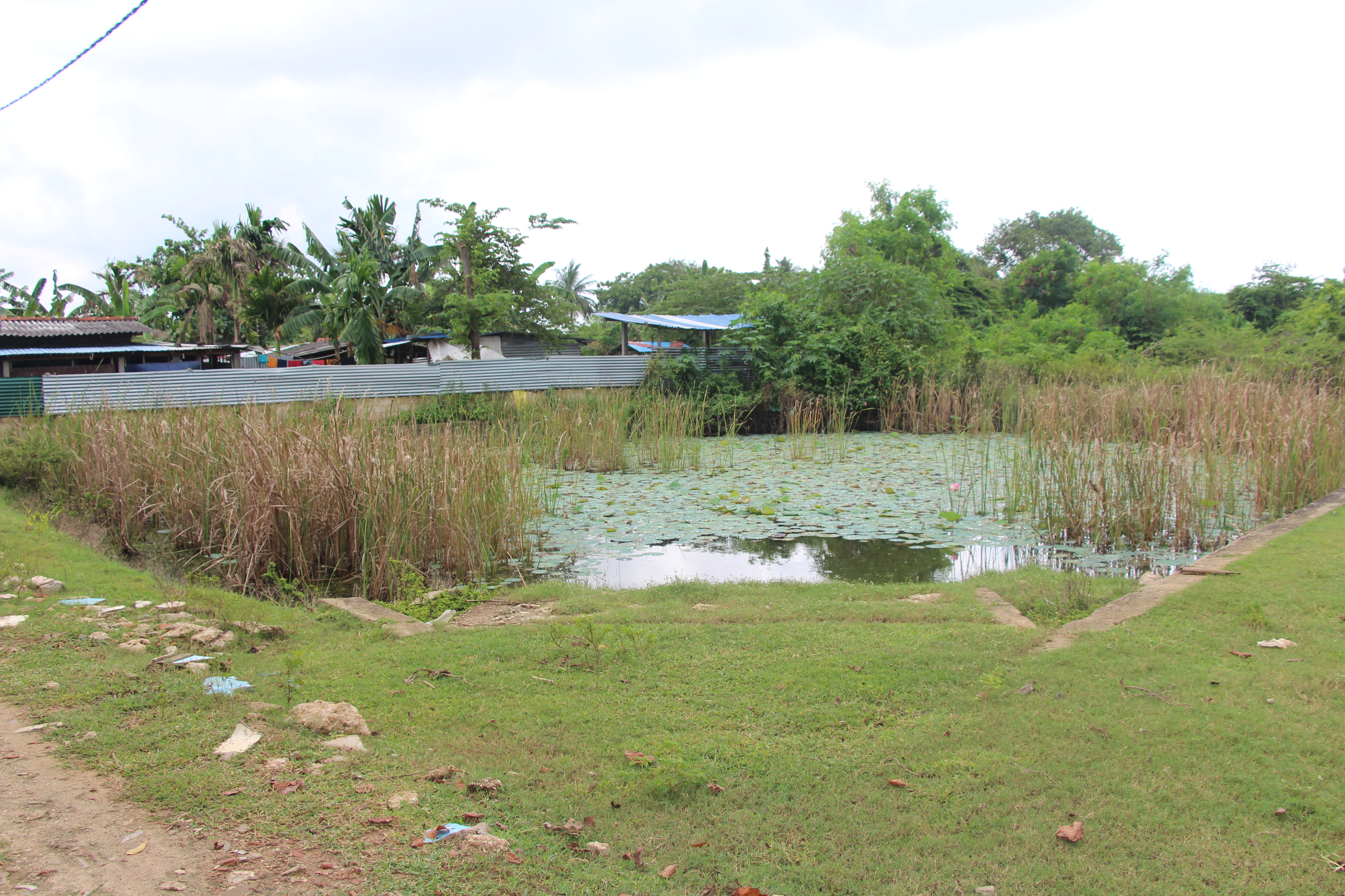 function/uploads/cultural/Kuthiyadikulam.JPG